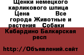 Щенки немецкого карликового шпица › Цена ­ 20 000 - Все города Животные и растения » Собаки   . Кабардино-Балкарская респ.